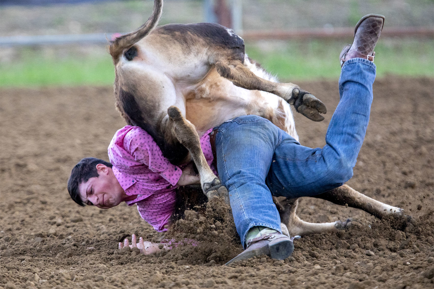 Rodeo gallery